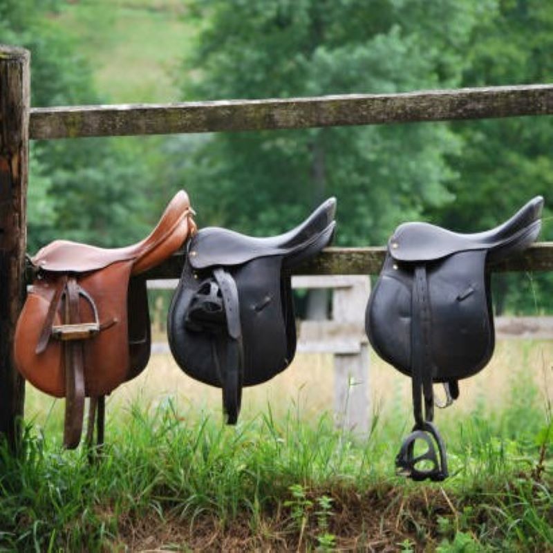 Horse Tack