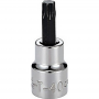 Craftsman Torx Bit Socket T40x3/8" Drive