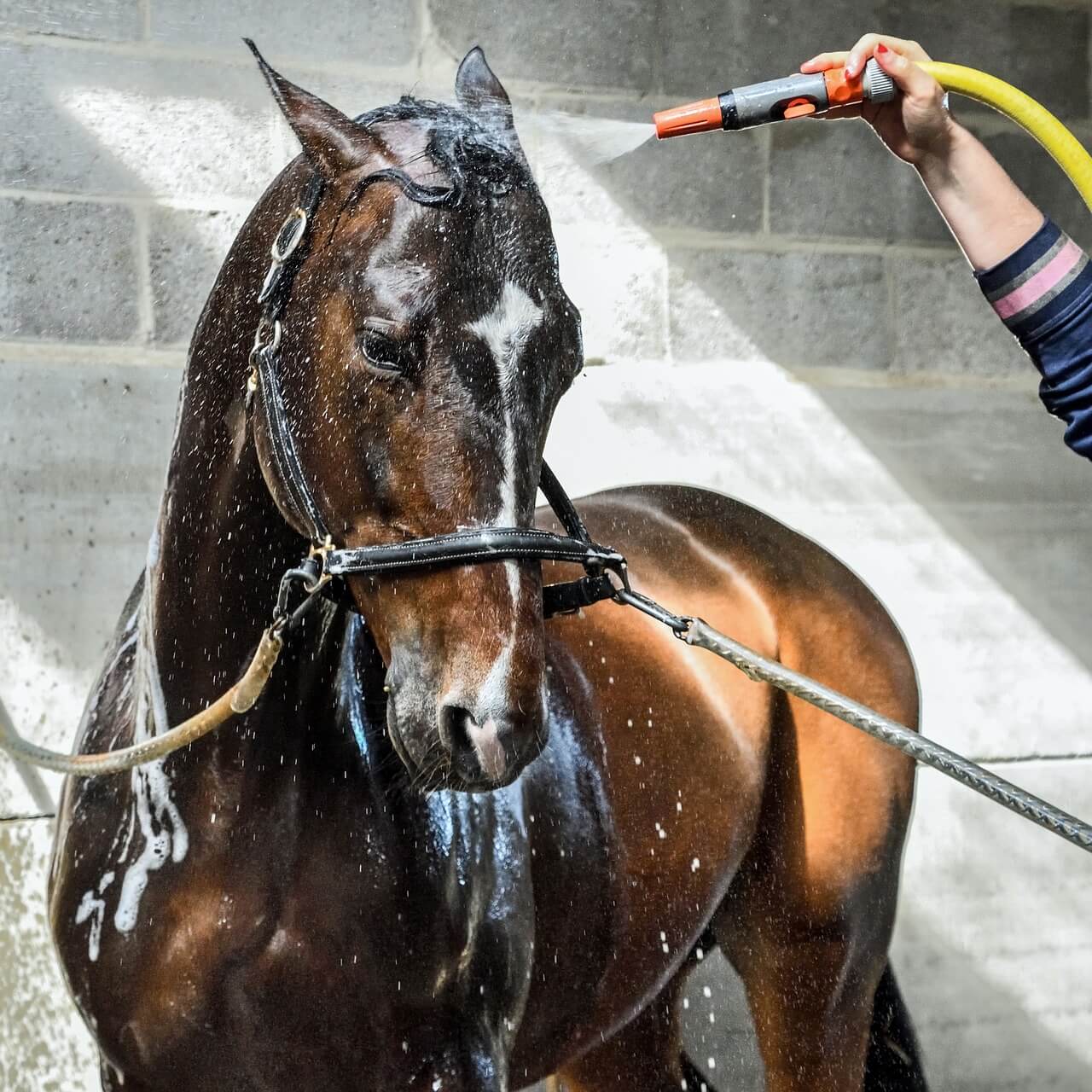 Bathing Supplies