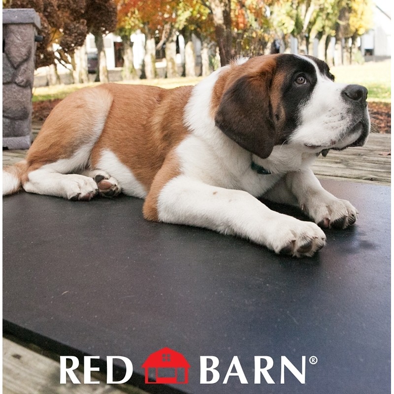 Red Barn Stall Mat 3/4\" Thick Rubber 4 x 6 feet