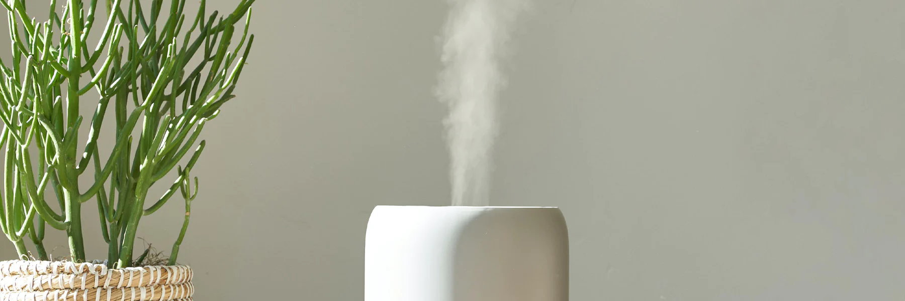 Humidifiers &amp; Accessories