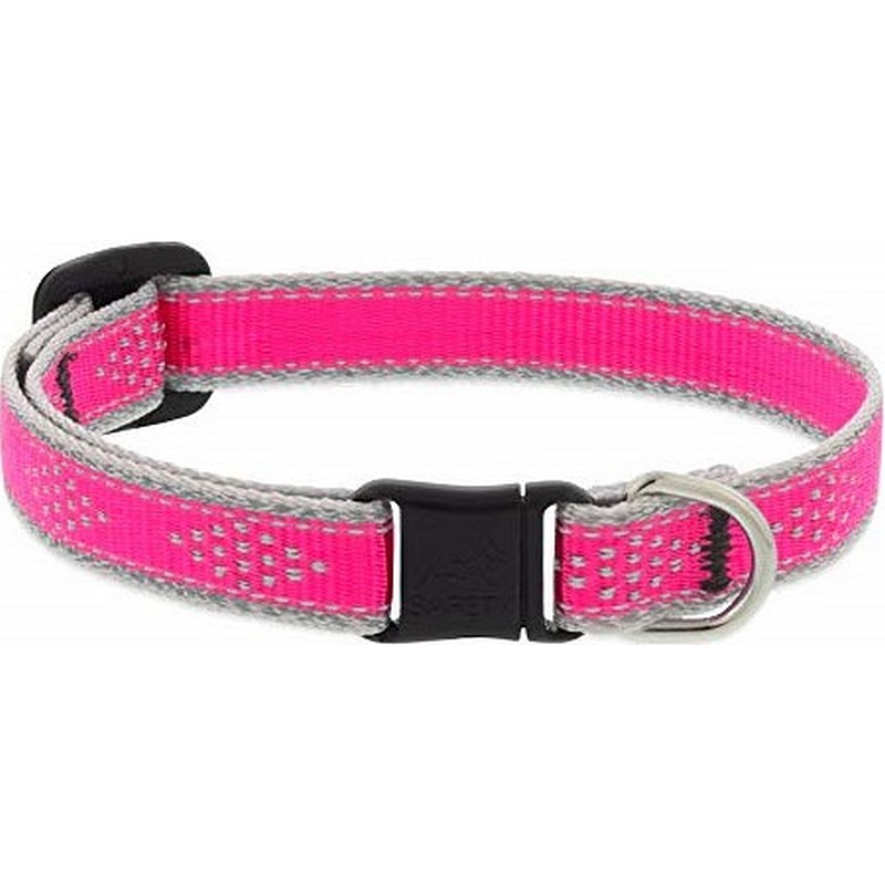 Cat Collars