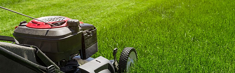 Lawn Care