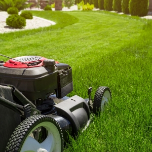 Lawn Care