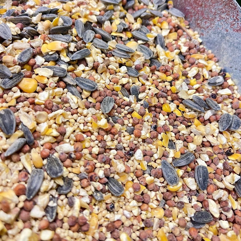 Wild Bird Seed Mix Loose