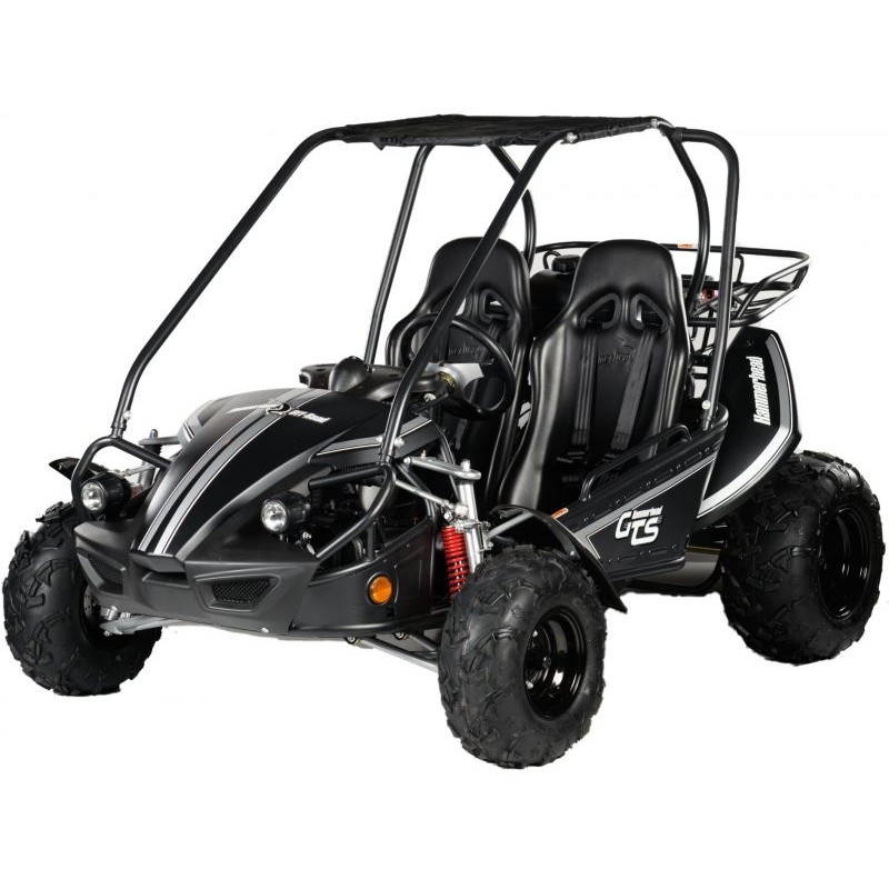 Hammerhead GTS 150 Go Kart 9 HP 149cc