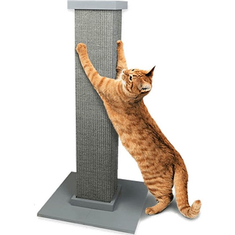 Cat Scratcher