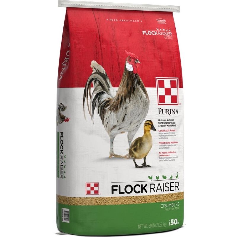 Purina Flock Raiser Crumble 50 lb