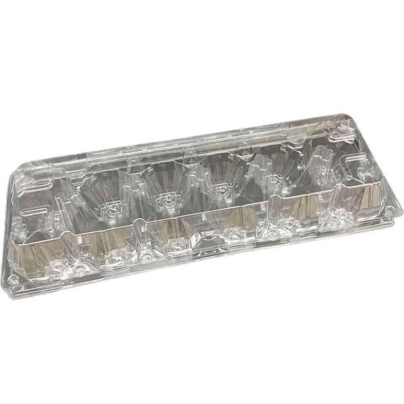 Egg Carton Clear Plastic Dozen Size