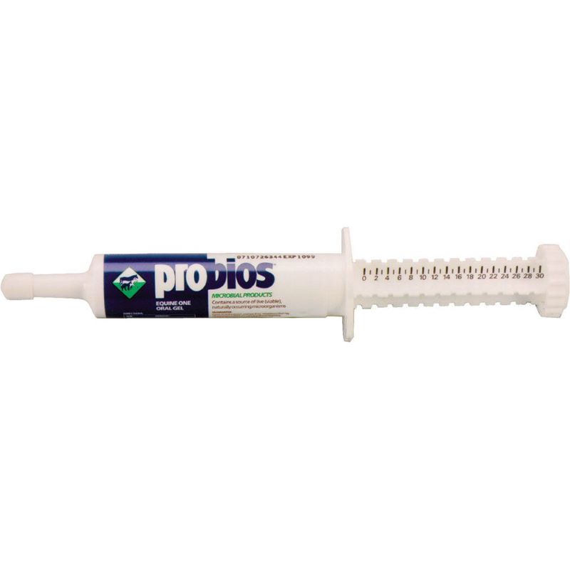 Probios Equine One 30g