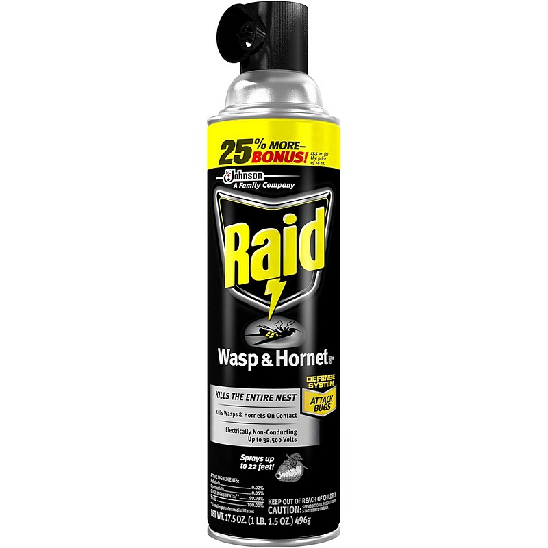 Raid Wasp & Hornet Killer 17.5 oz