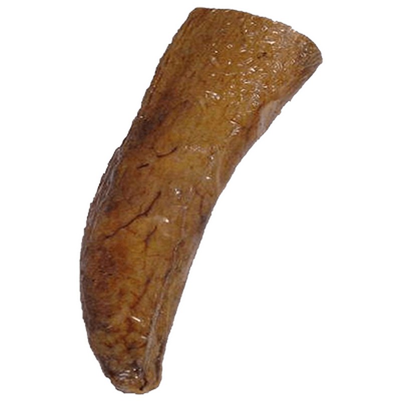 Buffalo Horn Core Large