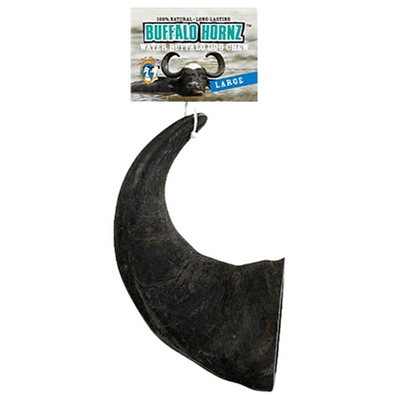 Buffalo Horn Large