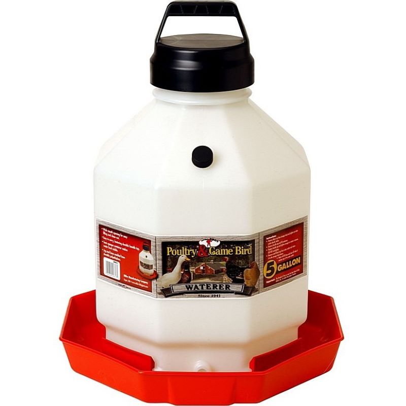 Little Giant Plastic Poultry Fountain 5 gal