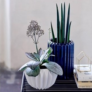 Pots &amp; Lawn Decor