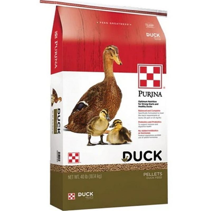 Purina Duck Feed Pellets 40 lb