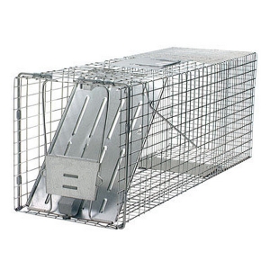 Live Animal &amp; Spring Traps