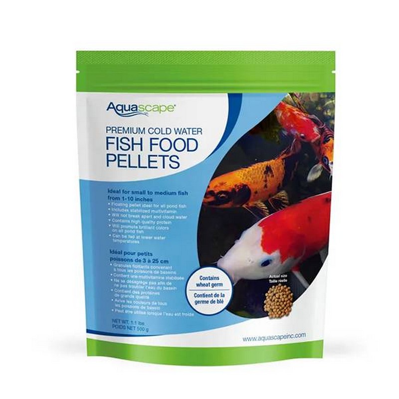 Fish Food