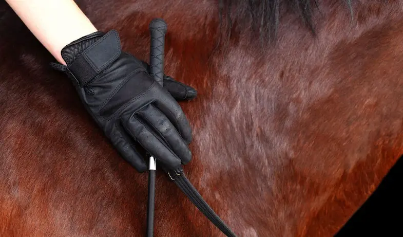 Leather Care - Reins