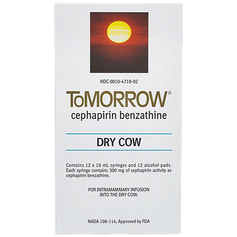 Tomorrow Mastitis Syringe 10 ml