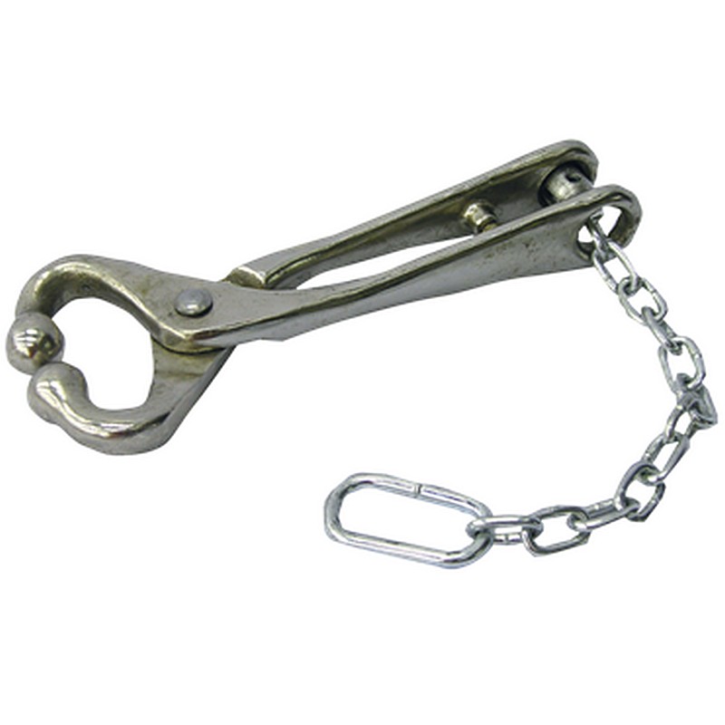 Bull Lead with Chain