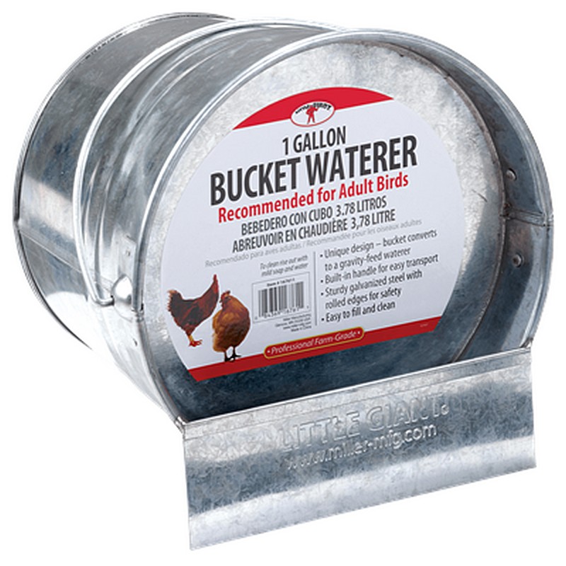 Galvanized Bucket Poultry Waterer 1 gal