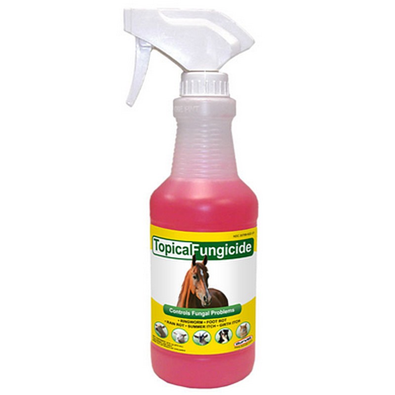Topical Fungicide with Sprayer 16 oz