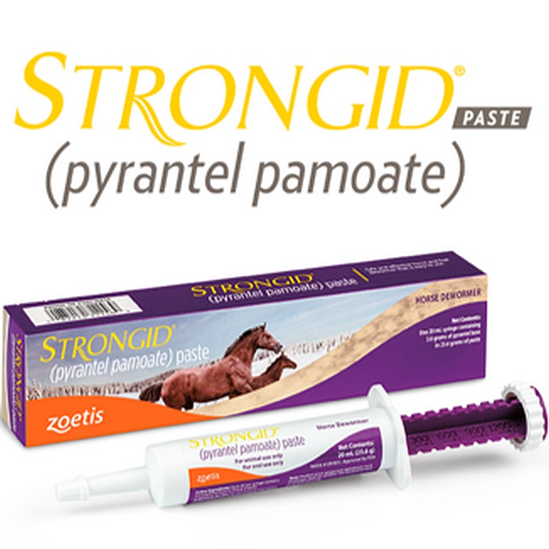 Strongid Equine Dewormer Paste