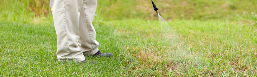 Pre-emergent Herbicides