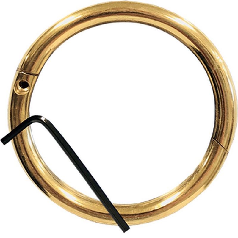 Brass Bull Ring 3 x 5/16"