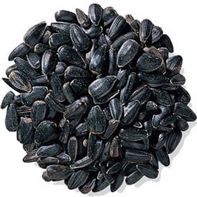 Black Oil Sunflower Seed