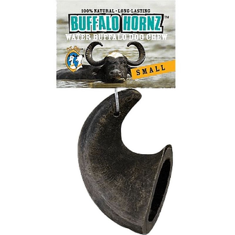 Buffalo Horn Small