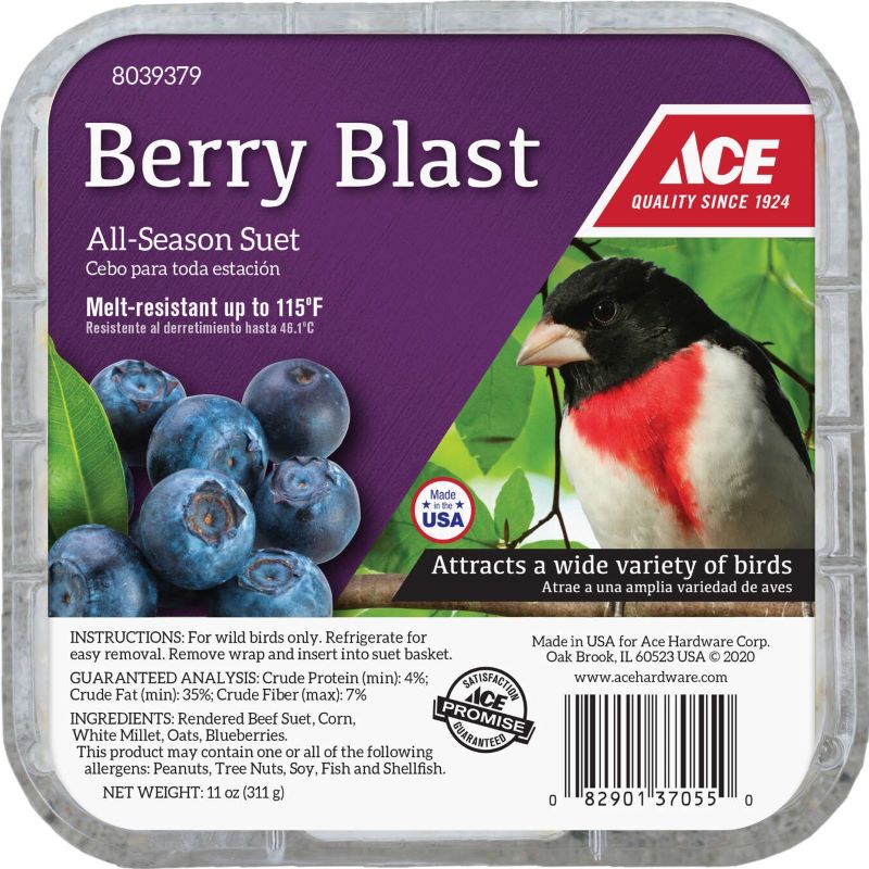 Berry Blast Suet Cake 11 oz