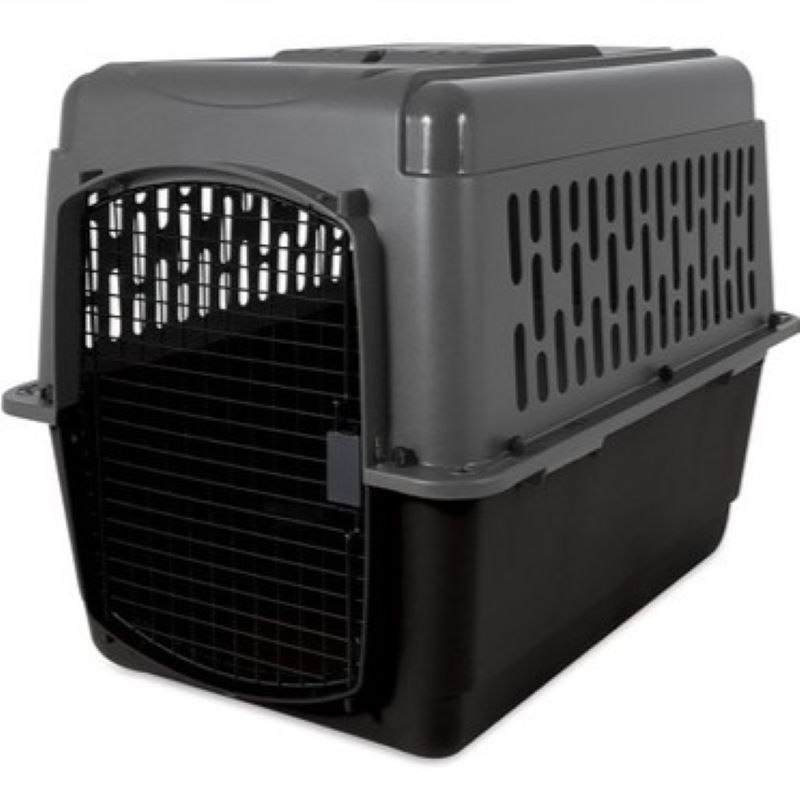 Large Black/Gray Plastic Pet Carrier