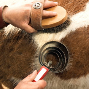 Livestock Grooming