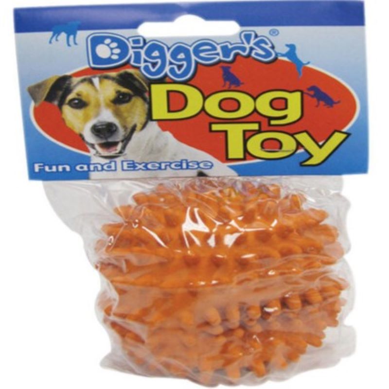 Spiked Ball Dog Toy