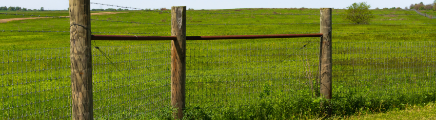 Wood Post