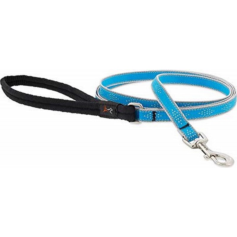 1/2" Blue Diamond 4' Leash