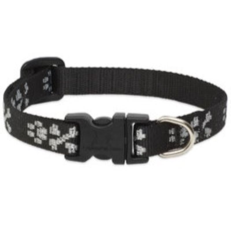 1/2" Bling Bonz 10"-16" Collar