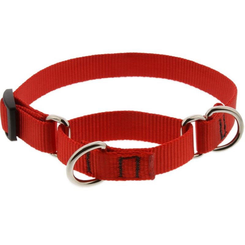 Red Nylon Dog Collar 3/4 x 14-20"