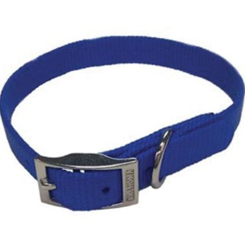 Nylon Dog Collar Blue 3/8 x 12"