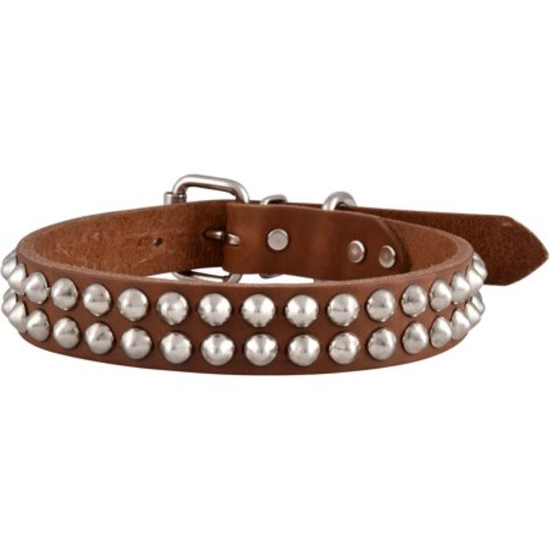 Leather Studded Collar 19"x1"