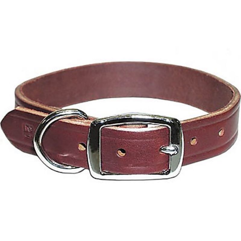 Leather Collar Burgundy 10 in