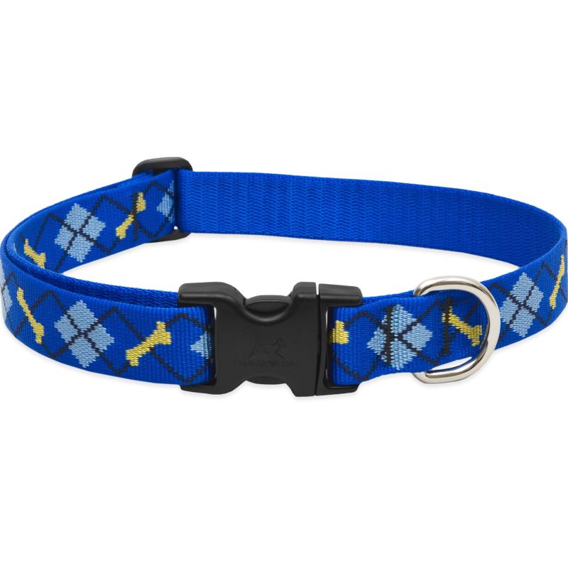 1" Dapper Dog 12"-20" Collar