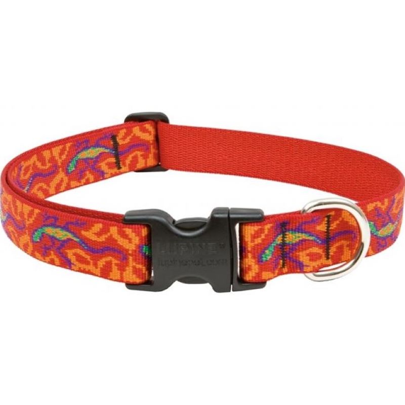 1" GoGoGecko 12"-20" Collar