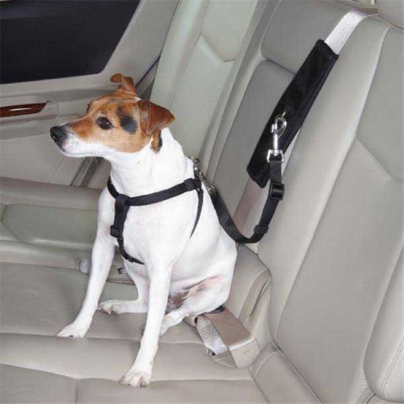 Ride Right Seatbelt Connector Tan
