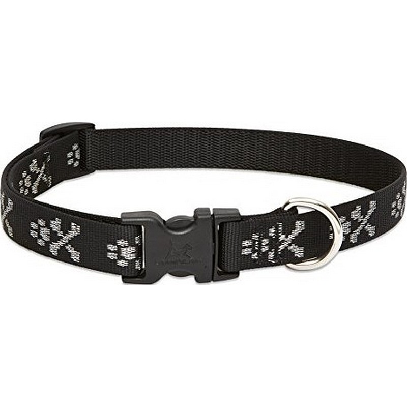 3/4" Bling Bonz 13"-22" Collar