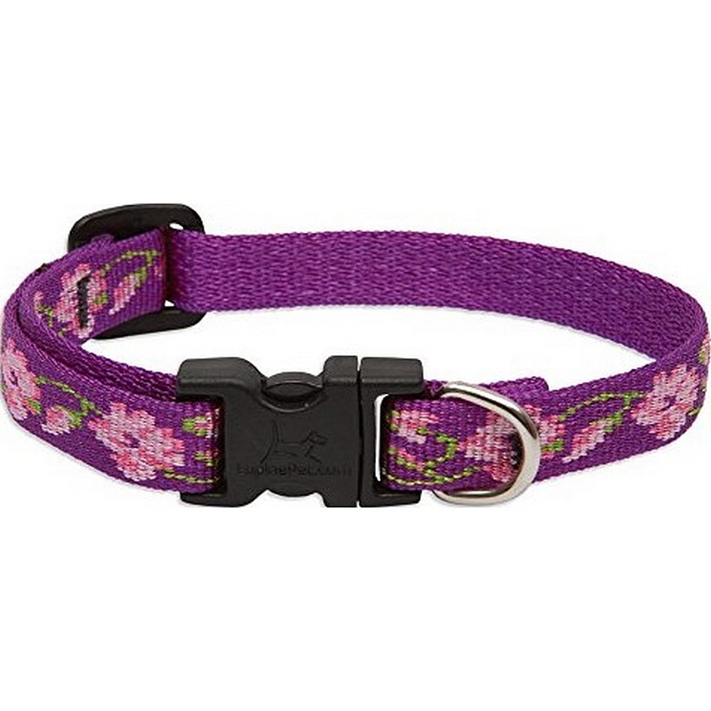 1/2" Rose Garden 8"-12" Collar