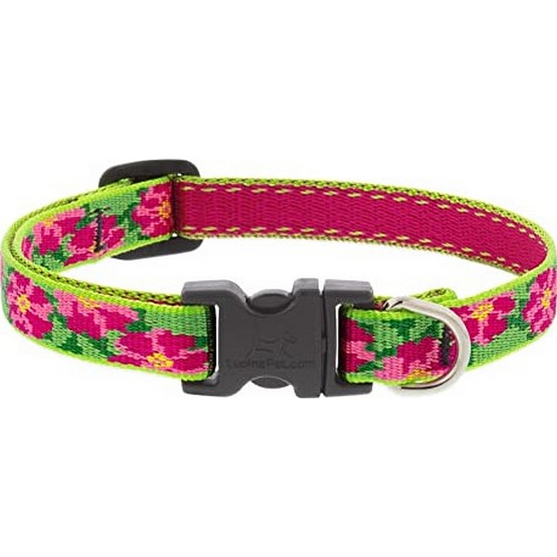 1/2" Petunias 8"-12" Collar