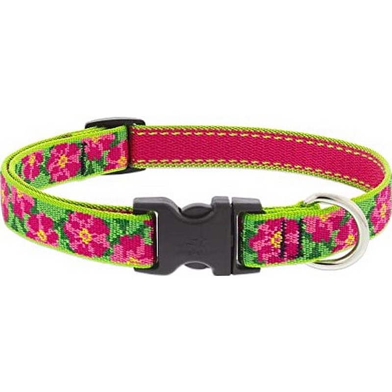 3/4" Petunias 9"-14" Collar